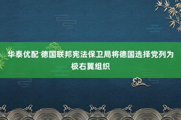 华泰优配 德国联邦宪法保卫局将德国选择党列为极右翼组织