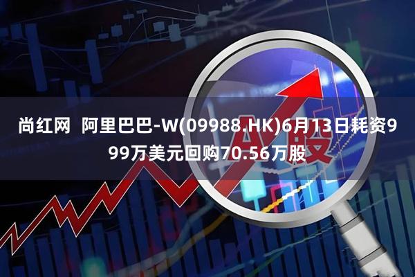 尚红网  阿里巴巴-W(09988.HK)6月13日耗资999万美元回购70.56万股