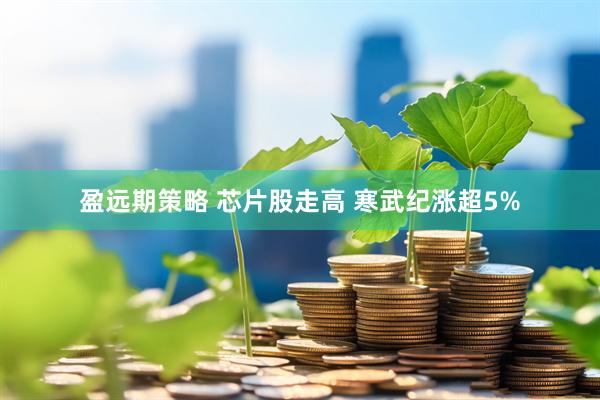 盈远期策略 芯片股走高 寒武纪涨超5%