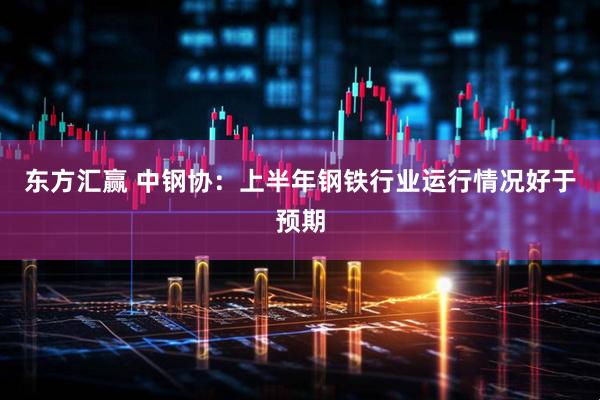 东方汇赢 中钢协：上半年钢铁行业运行情况好于预期