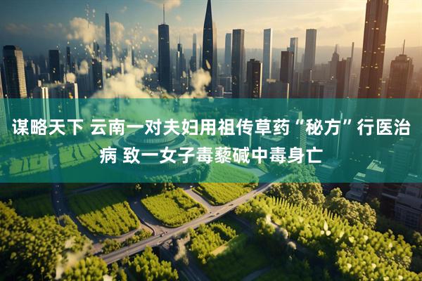 谋略天下 云南一对夫妇用祖传草药“秘方”行医治病 致一女子毒藜碱中毒身亡